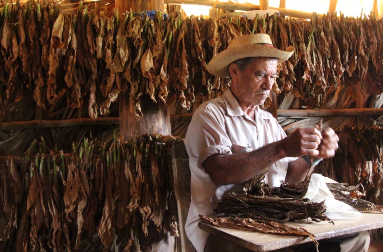 Brief History of Cuban Cigars Industry 1