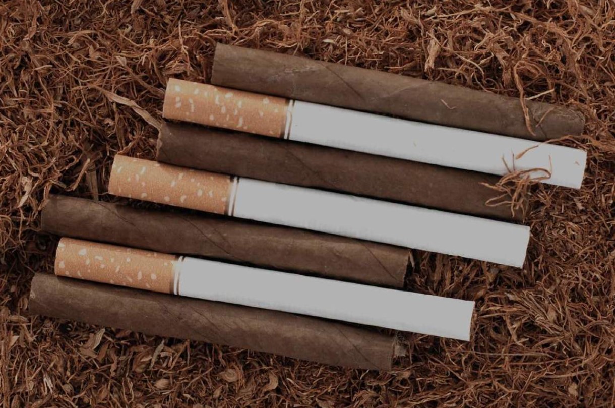 Cigars vs Cigarettes 2