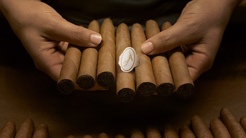 A Comprehensive Guide to Machine Made Cigars by Brand